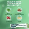 Himalaya creme dental cuidado completo neem, miswak & triphala 80g