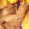 japamala de rudrakshas com ametistas A ametista é uma pedra extremamente poderosa e protetora, com uma vibração altamente espiritual. Tem um forte poder de cura e purificação, além de aguçar a percepção espiritual. Ela combate vícios e bloqueios de todos os tipos.