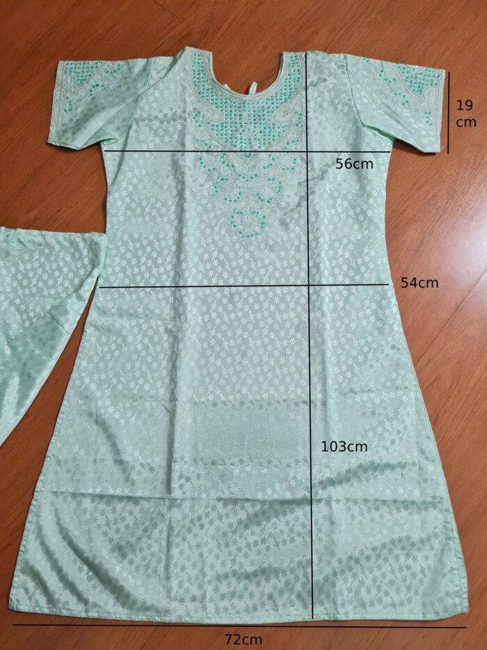 20230206_200233 Punjabi Suits verde claro bordado (túnica e calça)