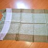 20250308_140044 Pashimina indiana de cashmere estampa paisleys tons de creme e verde