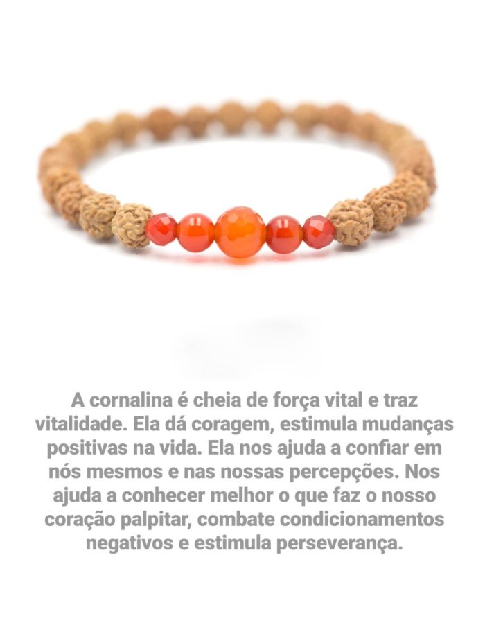 Pulseira de Rudrakshas originais e pedra Cornalina P