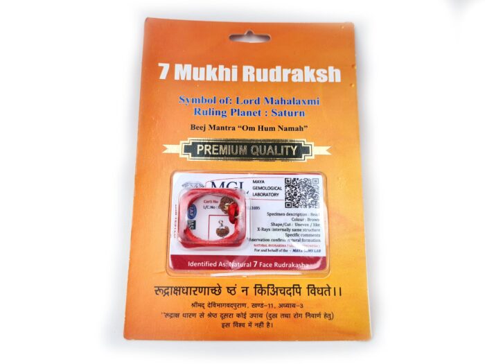 Pingente de Rudraksha de 7 faces (Mukhi) com certificado