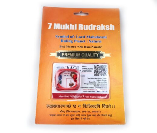 Pingente de Rudraksha de 7 faces (Mukhi) com certificado