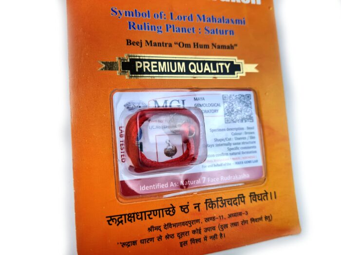 Pingente de Rudraksha de 7 faces (Mukhi) com certificado