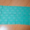 20240310_163236 Pashimina indiana de cashmere estampa paisleys verde turquesa