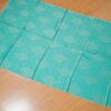 20240310_163240 Pashimina indiana de cashmere estampa paisleys verde turquesa