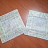 Duo de Capas de almofada indiana de elefantes branco perolado