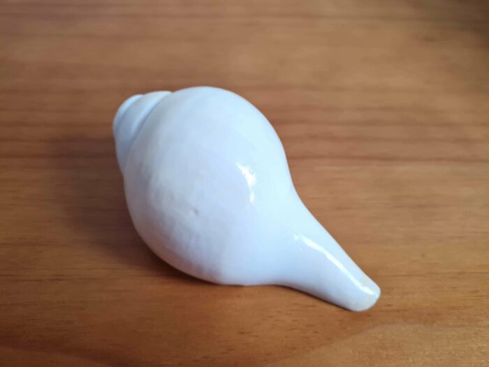 Shankha instrumento musical tradicional indiano 11cm