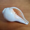 Shankha instrumento musical tradicional indiano 13cm