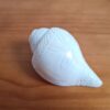 Shankha instrumento musical tradicional indiano 14cm