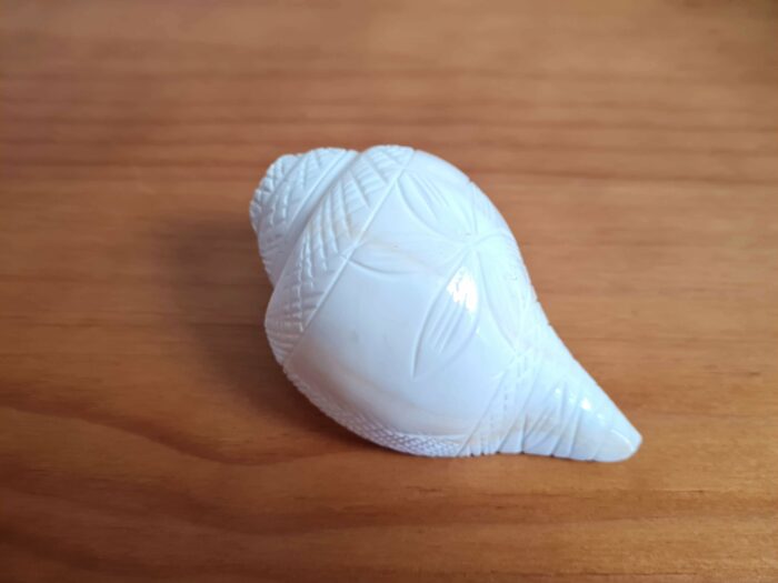 Shankha instrumento musical tradicional indiano 14cm