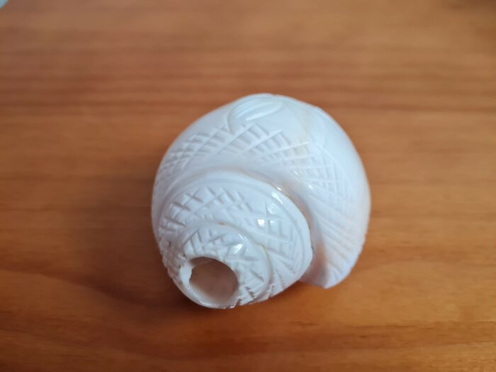 Shankha instrumento musical tradicional indiano 14cm