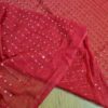 20241126_162928 Dupatta vermelha com fios bordados de lantejoulas