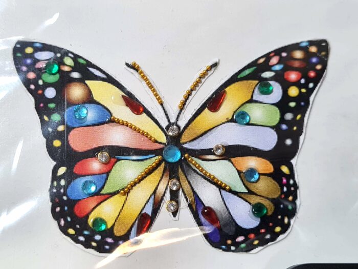 Tatuagem indiana de borboleta com aplique de pedras color IV