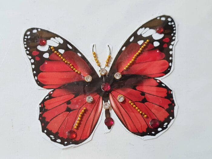 20250212_150058 Tatuagem indiana de borboleta com aplique de pedras color vermelha II