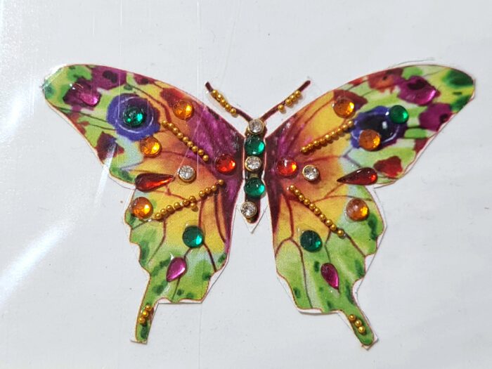 Tatuagem indiana de borboleta com aplique de pedras color