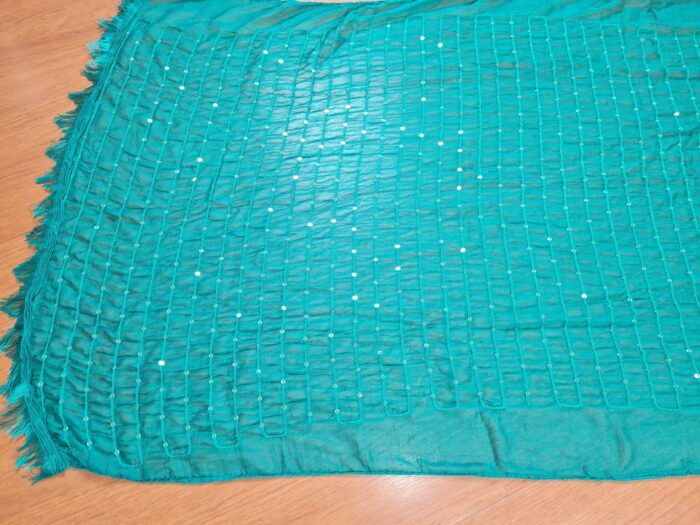 Dupatta verde com fios bordados de lantejoulas