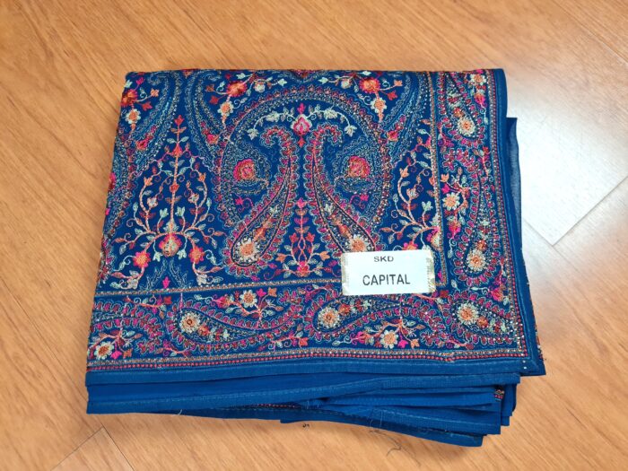 Saree Kashmiri Aari Work Bordado à Mão com Fios de Seda Coloridos
