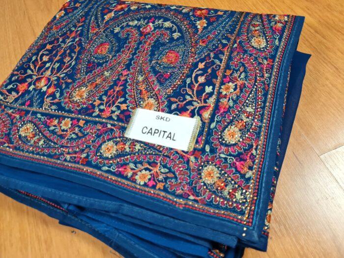 Saree Kashmiri Aari Work Bordado à Mão com Fios de Seda Coloridos