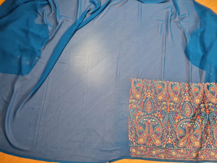 Saree Kashmiri Aari Work Bordado à Mão com Fios de Seda Coloridos