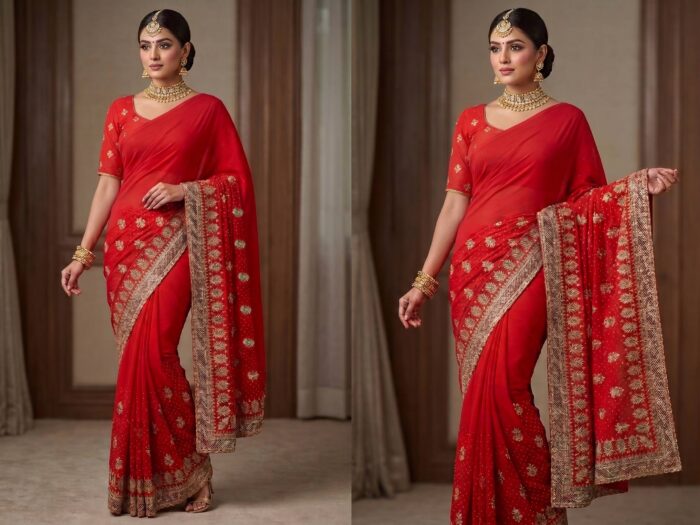 Saree Vermelho Bordado com Fios Dourados e Pedrarias com dupatta inclusa