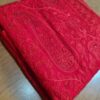 Saree Nupcial Luxo em Georgette Chikankari de Lucknow