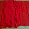 Saree Nupcial Luxo em Georgette Chikankari de Lucknow