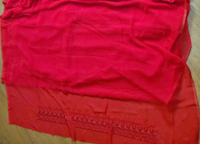 Saree Nupcial Luxo em Georgette Chikankari de Lucknow