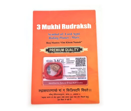 Pingente de Rudraksha de 3 faces (Mukhi) com certificado (Lord Agni)