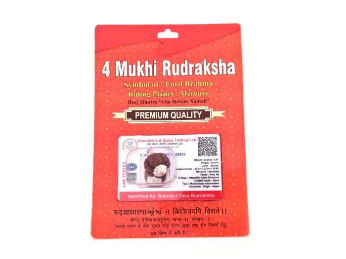 20260423_111816 Pingente de Rudraksha de 4 faces (Mukhi) com certificado (Lord Brahma)