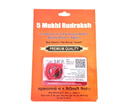 Pingente de Rudraksha de 5 faces (Mukhi) com certificado (Lord Kalaagni Rudra)
