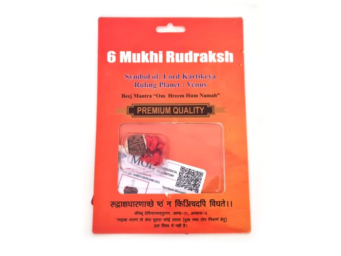 20260423_111841 Pingente de Rudraksha de 6 faces (Mukhi) com certificado (Lord Kartikeya)