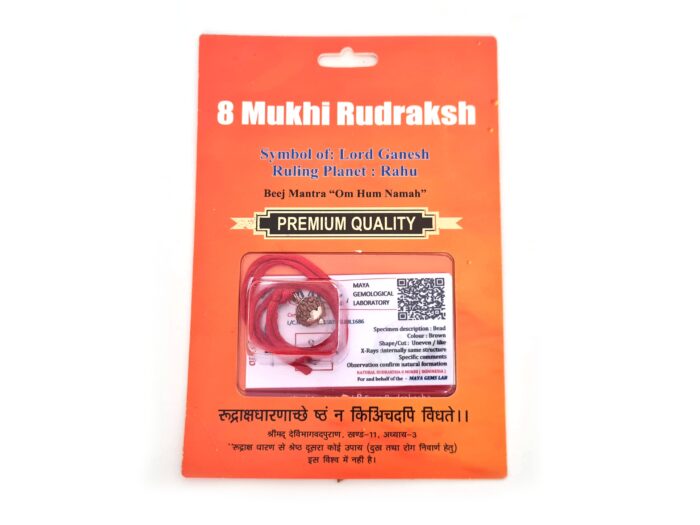 20260423_111905 Pingente de Rudraksha de 8 faces (Mukhi) com certificado (Ganesha)