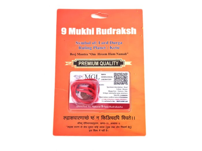Pingente de Rudraksha de 9 faces (Mukhi) com certificado (Durga)