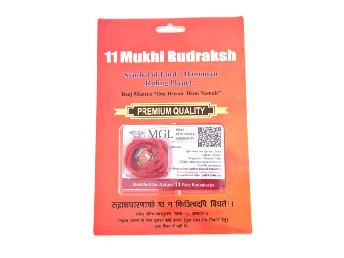 Pingente de Rudraksha de 11 faces (Mukhi) com certificado (Hanuman)