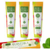 Kit 3 Creme Dental Ayurvèdika Sabor Wild Mint Sem Flúor 100g