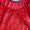 20260517_122037 Choli blusinha para usar com saree em veludo vermelho